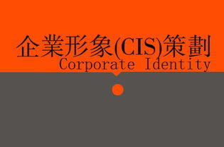 廣告、營銷、品牌與企業(yè)策劃 戰(zhàn)略協(xié)同下的廣告設(shè)計(jì)核心